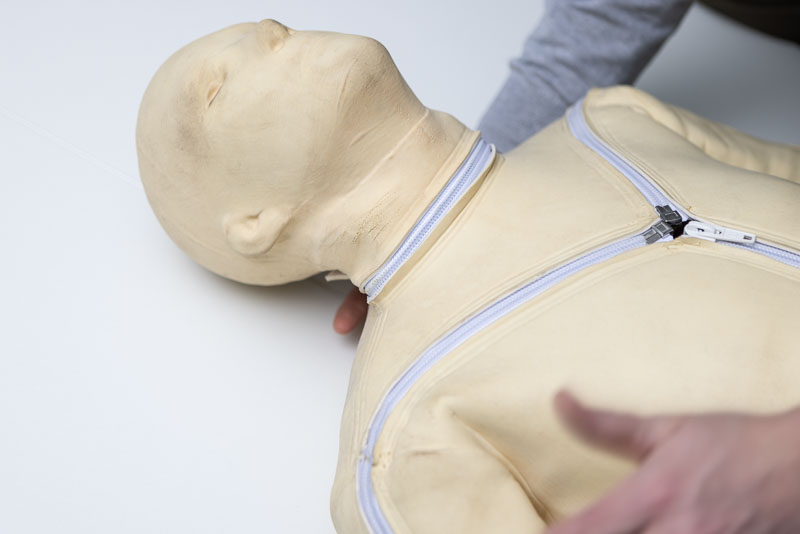 Customized Dummys Biofidelic Dummy ATD Dummy CTS Crashtest Customized Dummys Biofidelic Dummy ATD Dummy CTS Crashtest