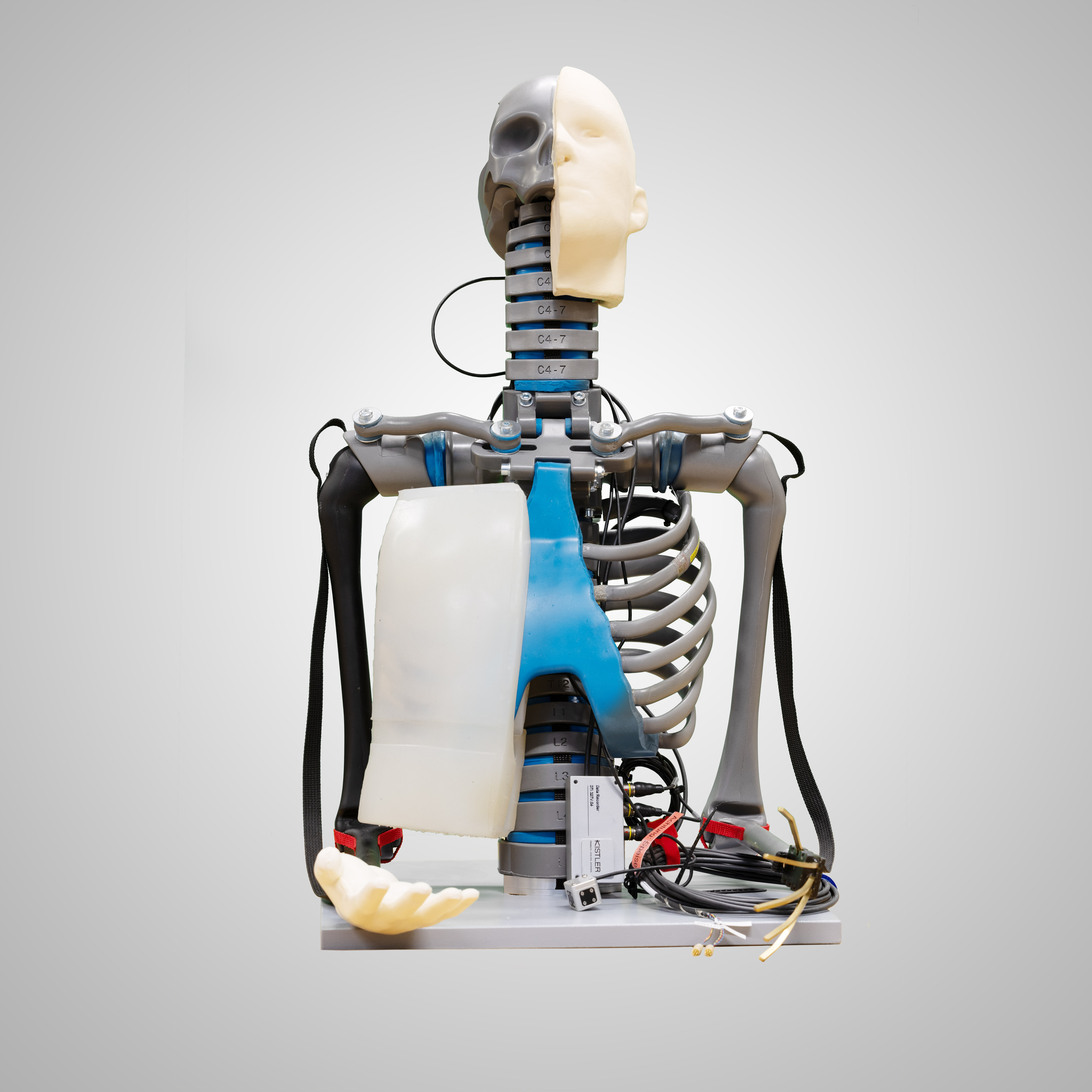 Customized Dummys Biofidelic Dummy ATD Dummy CTS Crashtest Customized Dummys Biofidelic Dummy ATD Dummy CTS Crashtest